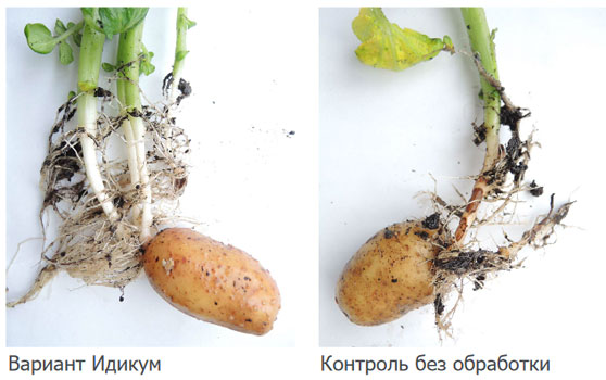 Результаты применения
